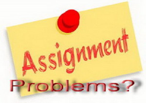 Assignment essay help