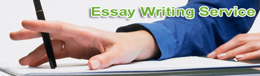 Uk essay writing company