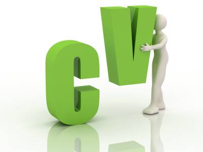 Professional cv writing services
